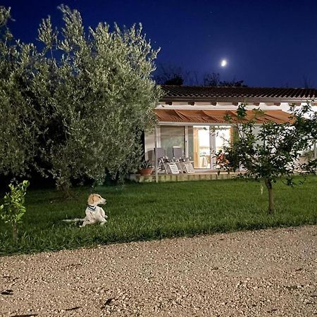 Villetta Bianca Pisticci-Matera Luaran gambar