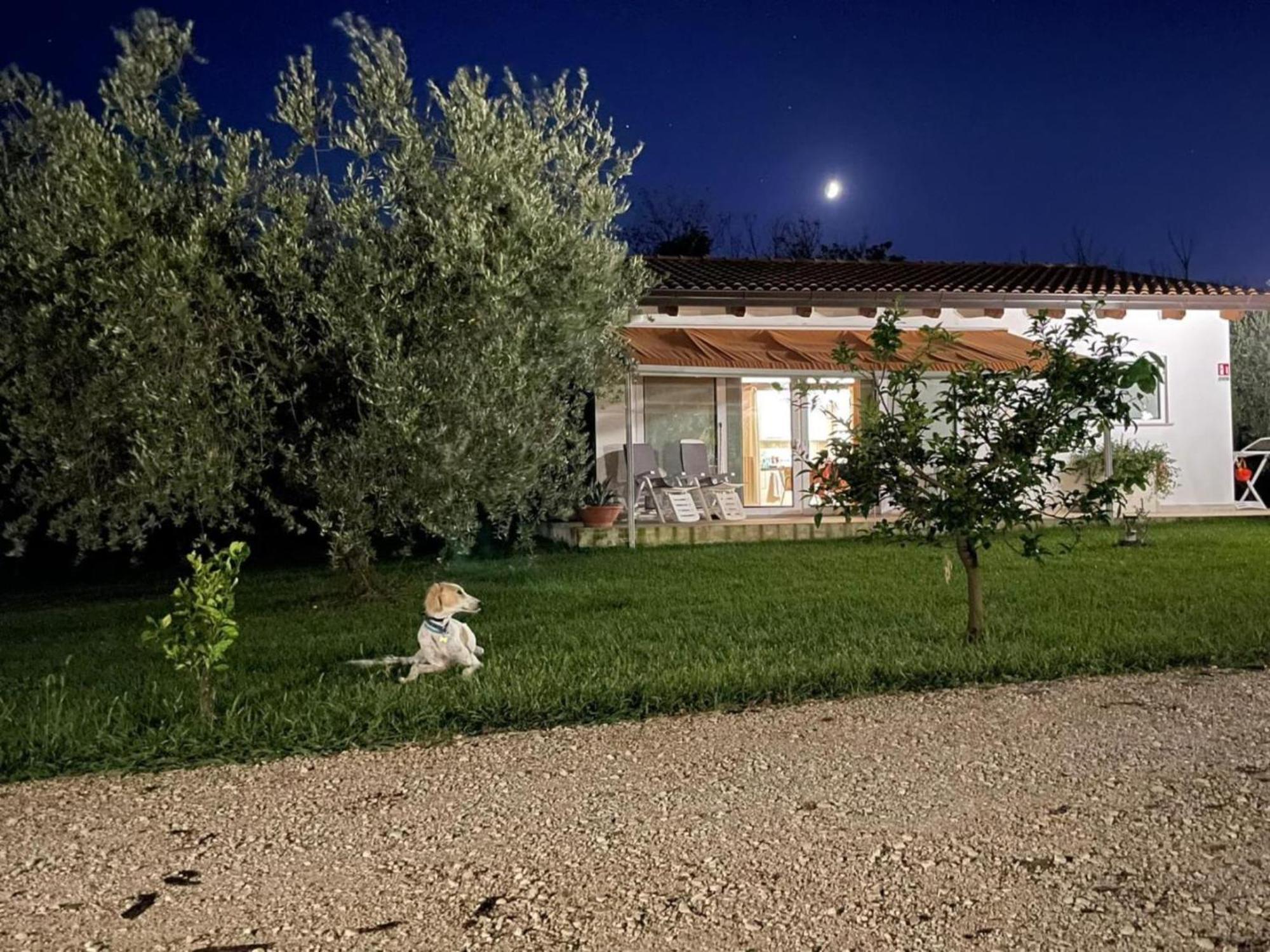 Villetta Bianca Pisticci-Matera Luaran gambar